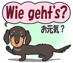 595324968