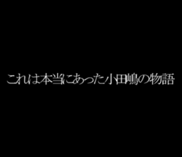 595341237