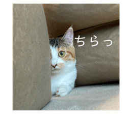 595386512