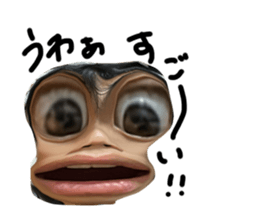 595406627