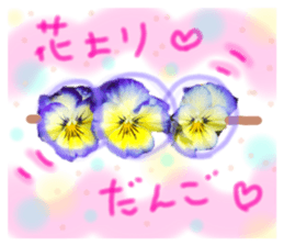 595409714
