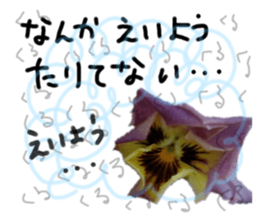 595409724