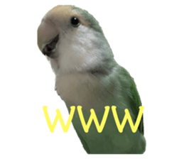 595420000