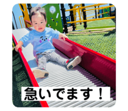 595421231