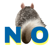 595442564