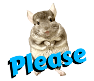 595442566