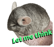 595442573