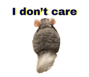 595442582