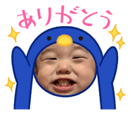 595444486