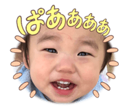 595444494