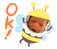 595448865
