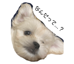 595472095