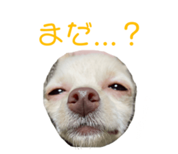 595472099