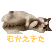 595489799