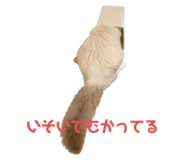 595489802