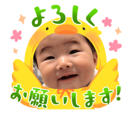 595491651