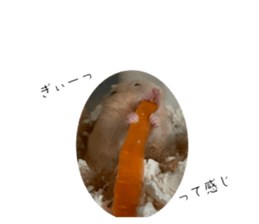 595500321