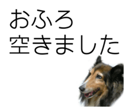 595526390