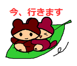 5955377