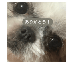 595540568