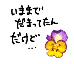 595553351