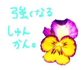 595553354