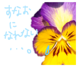 595553368