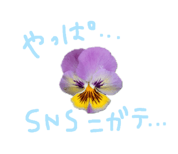 595553583