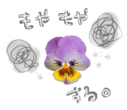 595553594