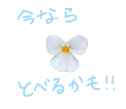 595553596