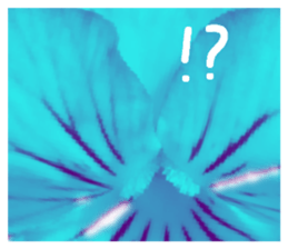 595559325
