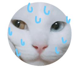 595600534