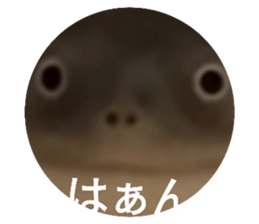 595600539