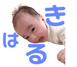 595604011