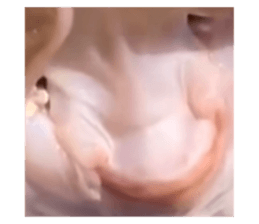 595605550