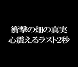 595616323