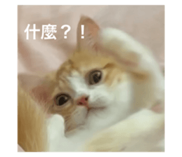 595647687