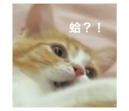 595647690