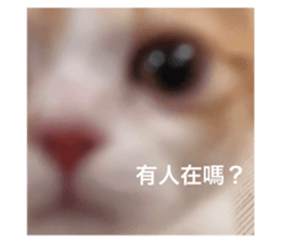 595647693