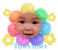 595652233