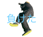 595671081