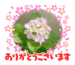 595677536