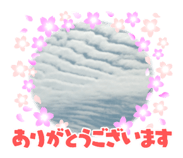 595677538