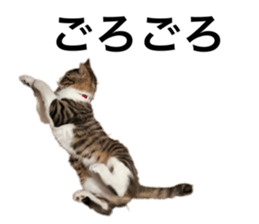 595684786