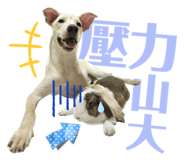 595722501
