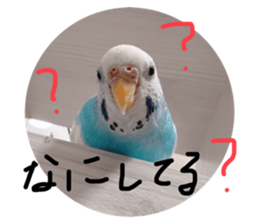 595739738