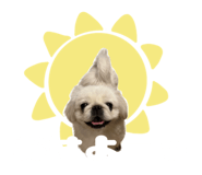 595762006