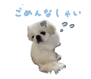 595762010