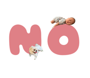 595762013