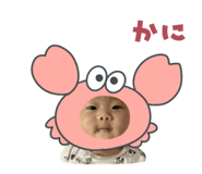 595762023